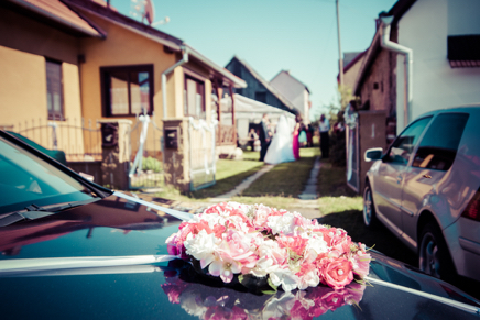 JAN_8698.jpg